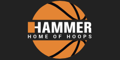 Logo von Hammer Basketball